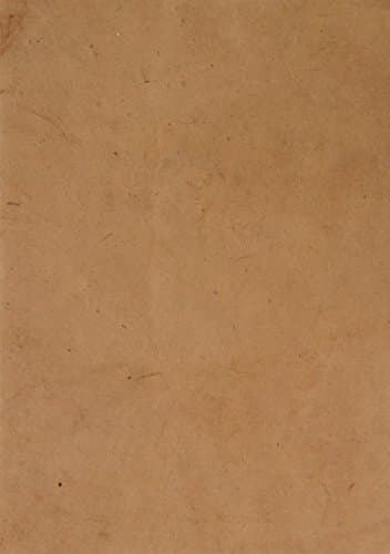 A4 Lokta Computer Paper - Camel - 20 sheets