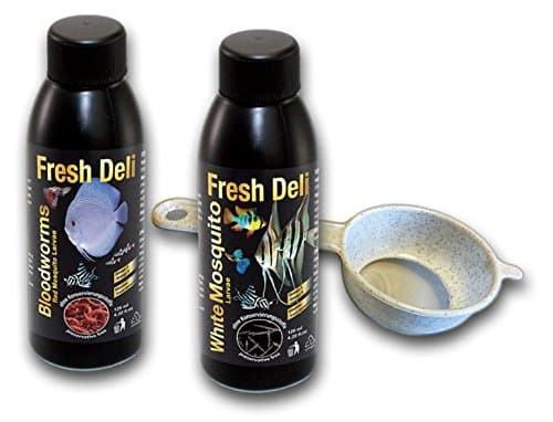 Red Or White Mosquito Larvae in Nutrient Solution