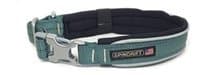 Safety Collar (Large, Sage)