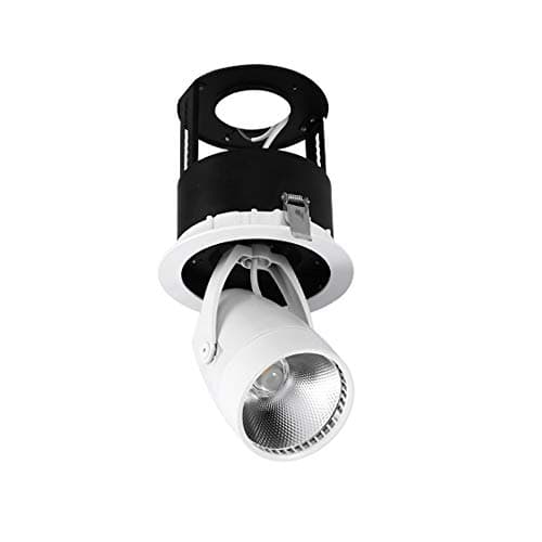 QTRT Stretch Light LED Spotlight Embedded Track Light COB Ceiling Bulls Eye 360 Degree Adjustment Angle Clothing Store Spotlight, 3000K/ 4000K/ 6000K (Color : White light-30w)