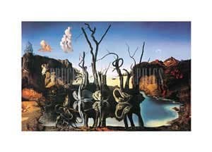 Swans Reflecting Elephants