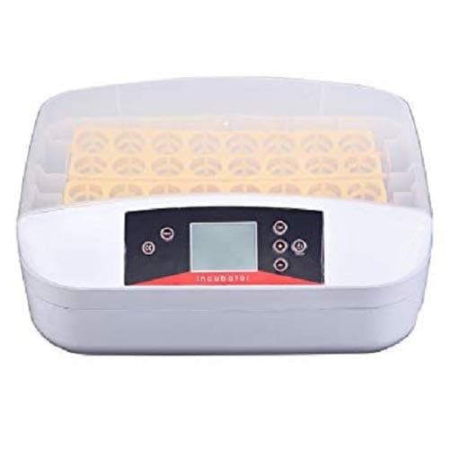 TM&W Fully Automatic Egg Incubator for Hatching 32 Chicken Eggs or Equivalent EU Plug