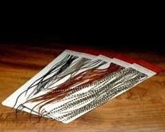 100's Saddle Hackle Pack