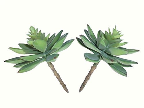 Dect Artificial Succulent 5" Echeverias(2pcs)