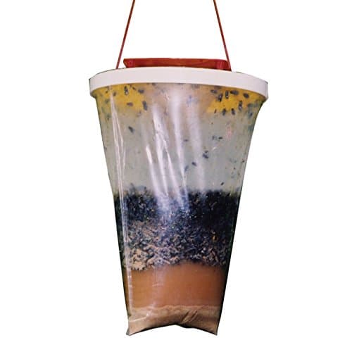 Miohy Fly Catcher Flytrap Fly Capturer 100% Nontoxic -Designed to Attract Egg-Laying Females Control the Number of Flies (Single pack 1)