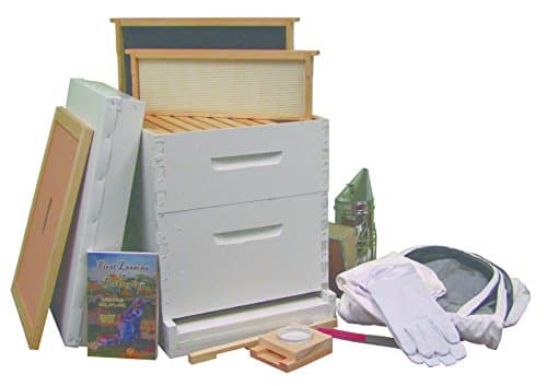 Beeline Apiaries Painted & Assembled Complete Starter Hive Kit - 10 Frames