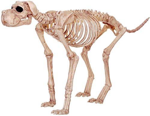 Lrg Skeleton Dog