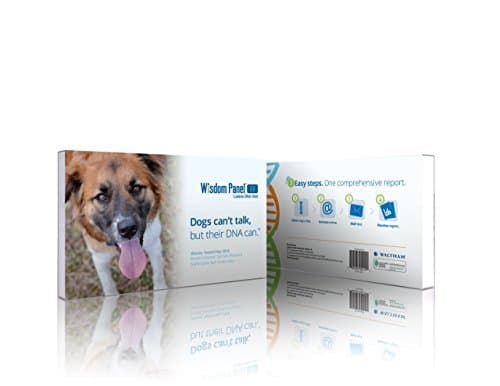 Mars Veterinary Wisdom Panel 3.0 Breed Identification DNA Test Kit by Mars Veterinary