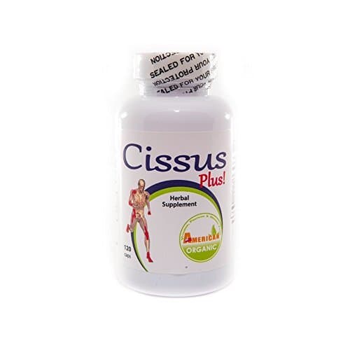 Cissus Plus, 120 Caps,Blend, Cissus Quadrangularis,Turmeric,Ginger, Maca,Boswelia,Uncaria Tormentosa,MSM,chonditrin,hyaluronic Acid,glucosamine by Amerorganic