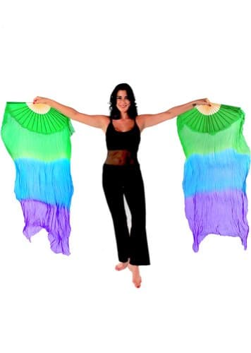 Belly Dancer Fan Veil