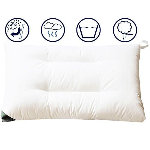 How Young Microfiber Washable Bread Shape Bed Pillow- Memory Fiberfill Down Proof Fabric -Soft Fluffy Anti Mildew Anti Mite Antioxidation Queen Singal Pillow 20"x30"