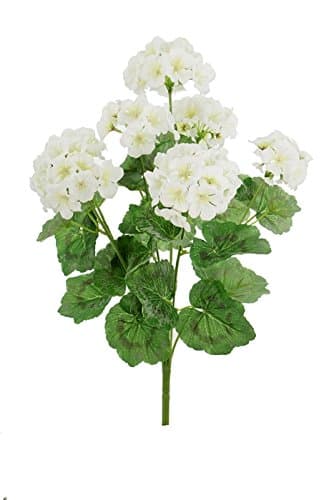 Renaissance 2000 Geranium Bush, White