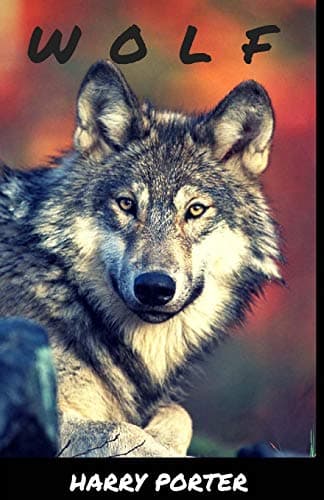 Wolf Paperback – 11 Feb 2015