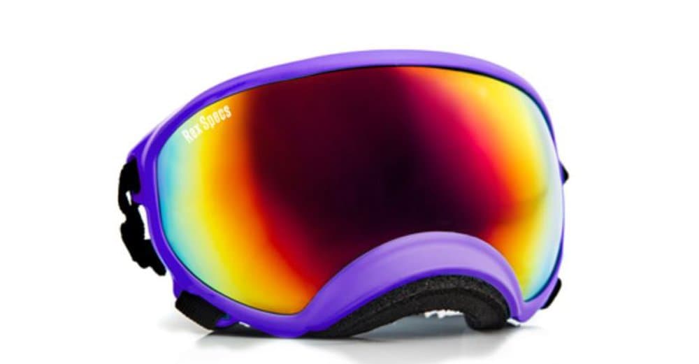 Rex Specsª Dog Goggles