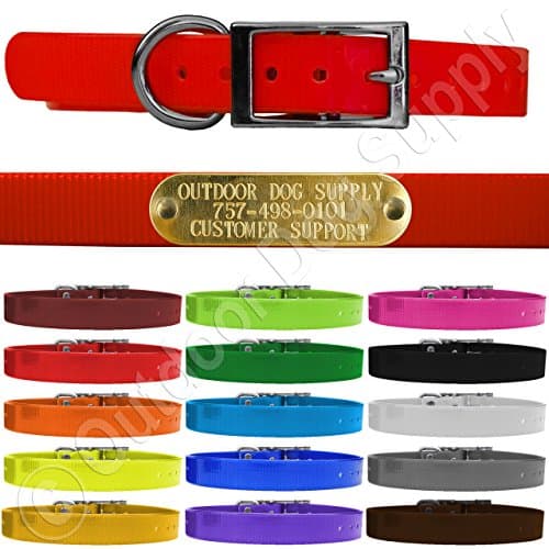 Outdoor Dog Supply's 3/4" Wide Solid D Ring Dog Collar Strap with Custom Brass Name Plate (Pink)