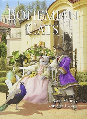 Bohemian Cats