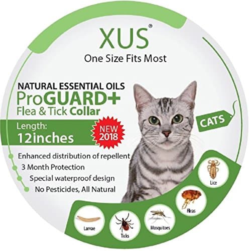 XUS - Cat- (1 Size Fits Most)