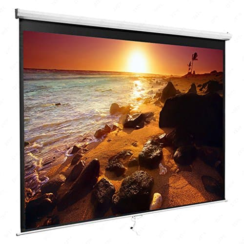 Crazyworldstore 100" Portable Projector Screen Adjustable Projection Screen Pull Up Foldable Stand (Manual Pull 100" 16:9)