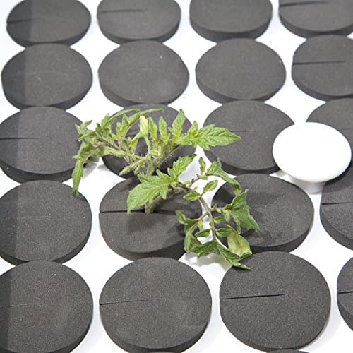 CLONE KING 36 Site Replacement White Lid