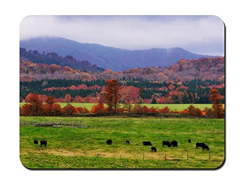 Wagyu Cows - Customized Rectangle Non-Slip Rubber Mousepad Gaming Mouse Pad 8.6"x7.1"(22cmx18cm)