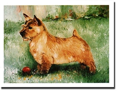 Norwich Terrier Profile Notecards