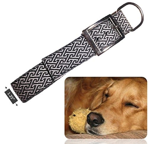 Genie Best Basic Cushion Nylon Dog Collar 1.25" Width for Medium Dogs with Strong/Long Necks. Comfy Padding &amp; Metal Buckle D-Ring. Free Travel Bowl &amp; eGuide (Black)