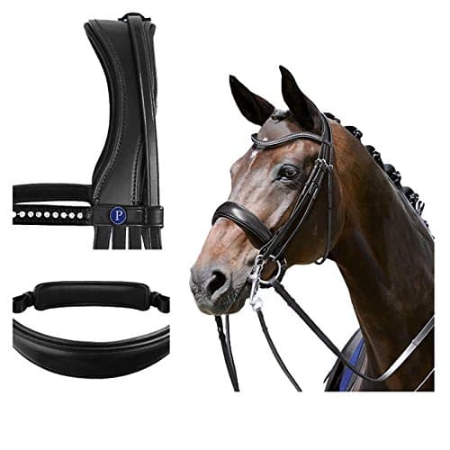 BLU - Double Bridle Dream