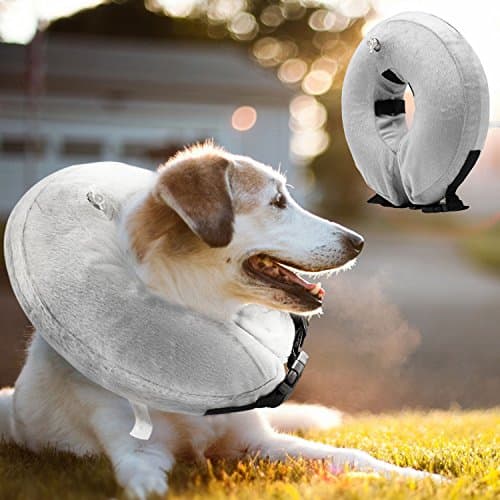 TaiTian Protective Inflatable Collar Adjustable Soft Recovery E-collars Prevent Dogs Touching Cats Biting from Wound (Large Neck CIR 12-18 inch)