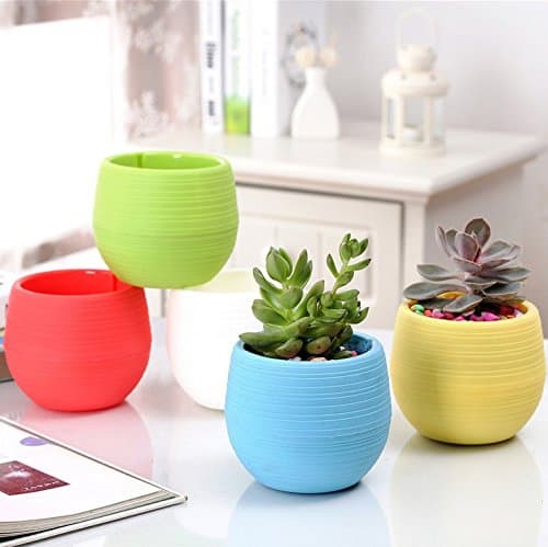 StarBox Plastic Planter Pots Small (Circle Medium 10Pcs)