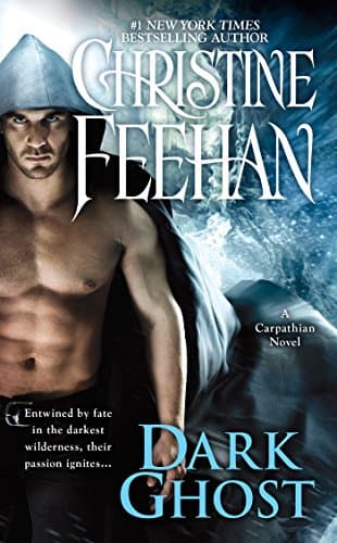 Dark Ghost (The Dark Book 28)