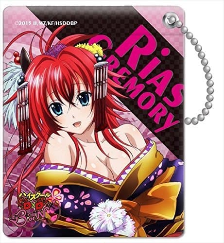 High School D ~ D BorN path case Rias Gremory