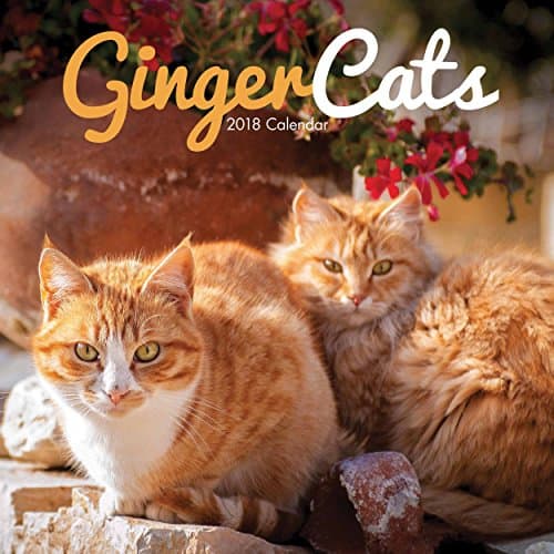 Ginger Cats 2018 W (Square) Unknown Binding – 1 Aug. 2017