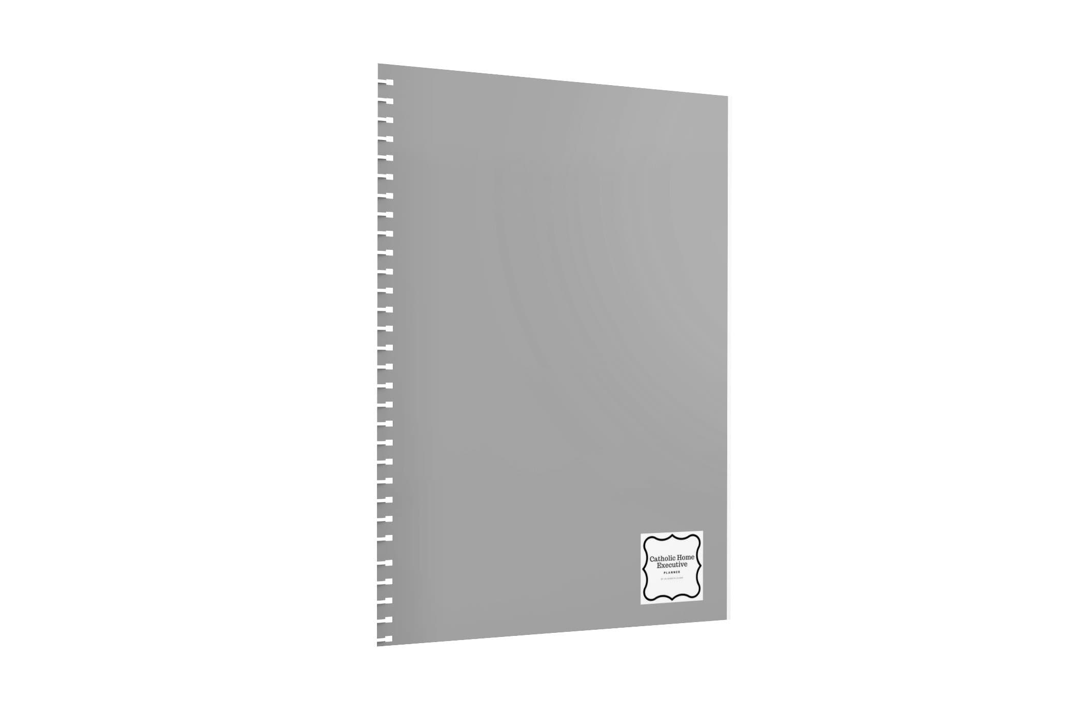 Dinosaurs Coloring Book