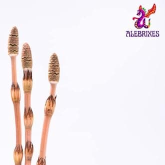 Alebrixes | Horsetail Herbal Tea 6oz (170g) | Premium Quality Whole Dried Shavegrass Tea | Te Cola De Caballo - Equisetum Arvense | Wildcrafted | Skin, Hair, Nails.