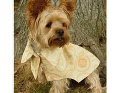 Risotto Fluffy Lemon Meringue Dog Coat (Small)