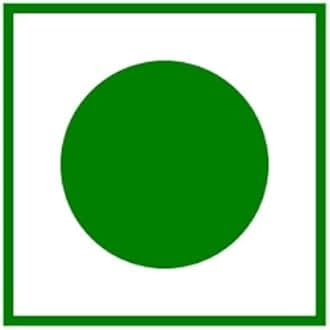 T.S. Universal Premium Dried Aloo Bukhara Gold/Dried Prunes Fruit/Alpagoda Pandu/Alpakoda Pazham Dry Fruits/Sukha Aloo Bukhara/Dry Plum/Dehydrated/Naturally Sweet / 750 grams