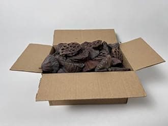 Lotus Pods 52 pcs, Natural Decorations, Bowl Fillers, Potpourri, Dried Flowers, Festive Decor, Home & Party Decor, Craft Supply