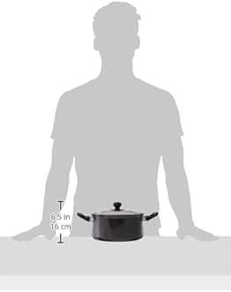 Hawkins Futura Nonstick Cook n Serve Stewpot With Glass LID and Induction Compatible Base, 3 Litres, Black