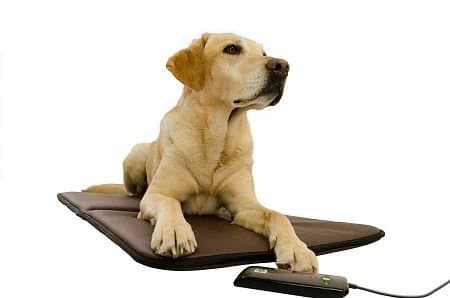 EPad Friends Dog Mat - 3 Programs - Auto activated by your pet!