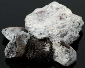 1lb White Lodestones