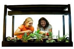 Greenbox Gardening system