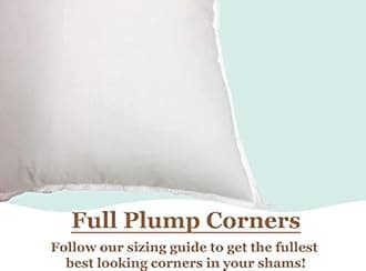 Pillowflex Polyester Filled Machine Washable 55cm x 55cm 22 X 22 - Inch Pillow Form Insert