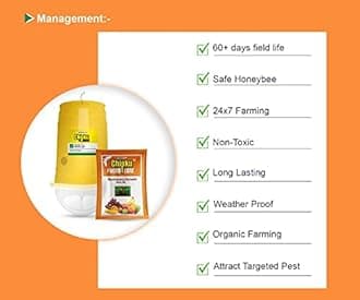 Chipku Fly Magnet Trap Useful in Mango, Papaya, Sapota, Guava, Pomegranate, Sweet Fruit (50 Trap with 50 Fruit Fly Lure) - Pack of 50