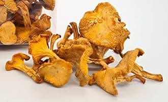 Chanterelle Mushrooms Powder Dried 3 oz Wild natural vegan nutritious chanterelle dried powder – Mushrooms are collected dried and milled in the EU - 100% pure chanterelles – EU product