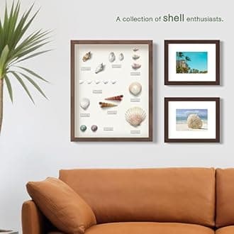 FrameWorks 11x14 Driftwood Wooden Shadow Box Frame – Soft Felt Back, Tempered Glass, and Included Elegant White Ball Push Pins