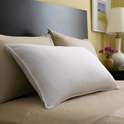 Spring Air Maxiform Pillow - KING
