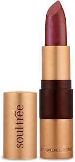 SoulTree Ayurvedic Lipstick - Raspberry Crush 640, 4gm | Creamy Texture | Enriched with Organic Ghee & Almond Oil | Moistured & Nourished Lips | 4gm