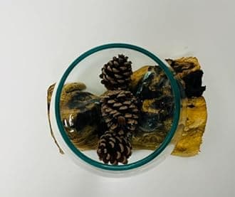 Molten Glass Round Decorative Bowl On Wood Root Stand Glass Rustic Ornament Sculpture Key Sweet Display Dish (Extra Large)