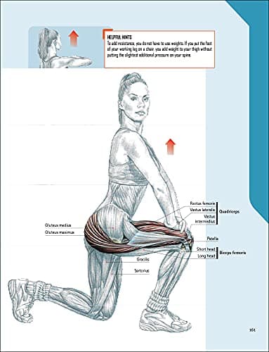 Strength Training Anatomy Workout