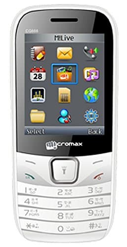 Micromax CG666 (White-Grey)